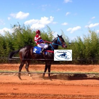 QIANG, POTRO TIGER HEART DO HS SANTARÉM GANHA PENCA EM ALEGRETE E OUTRO FILHO DE TIGER HEART FINALIZOU NA 2ª COLOCAÇÃO – J. C. ALEGRETE – FINAL – Seg, 08/02/2016