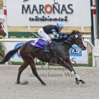 Maroñas – 28/06/2015 – REGAL HERMES