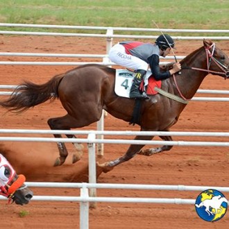 POTRO DE TIGER HEART GANHA FINAL DO GP SPRINT SALES PARA O HARAS RIO IGUASSÚ – Carazinho – 20,21 e 22/02/2016