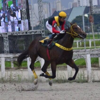 POTRO DE TIGER HEART CRIADO EM REGIME DE PENSIONATO PARA O HARAS BELMONT CONFIRMA SUA LIDERANÇA DA GERAÇÃO EM CJ, E POTRO DO SANTARÉM (CURISCO DO PAJEÚ) ESTRÉIA NA MESMA PROVA COM 2º – 06/03/2016