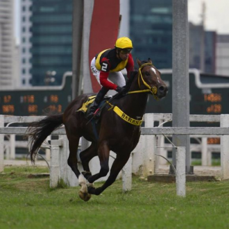 PENSIONISTAS DO HARAS SANTARÉM CRIADOS PARA O HARAS BELMONT DOMINAM A ESTRÉIA DA NOVA GERAÇÃO EM CJ – 09/01/2016
