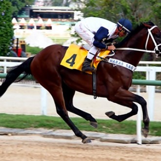 FILHO DE PIONEERING CONFIRMA A LIDERANÇA DE GERAÇÃO DOS DOIS ANOS NA GÁVEA – 14/02/2015