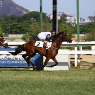 SIXTEEN TONS, FILHO DE PIONEERING VENCE O PRIMEIRO CLÁSSICO DOS 2 ANOS NA GÁVEA, FILHO DE TIGER HEART (RAIDER) FAZ 2º – 18/01/2015
