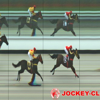 Cidade Jardim – 29/03/2015 – TETRALOGIA