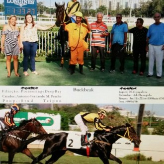 Buckbeak ganha 5ª na Gávea, foi criado em regime de pensionato  no Haras Santarém para o veterinário Antônio Fernando Perche seu criador