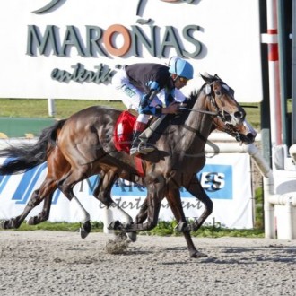 POTRANCA POR PIONEERING EM MÃE IMPRESSION GANHA SEGUNDA PROVA DA TRÍPLICE COROA URUGUAIA – 05/10/2015