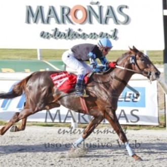 FILHO DE PIONEERING GANHA LISTED EM 2300 METROS EM MAROÑAS – Maroñas – Brasileiro Winner Warrior conquista o “Clásico Carlos Reyles” – Listed – 18/10/2015
