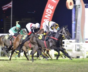 Emperor Cat PE Quartier Latin