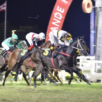 Emperor Cat, filho de Pioneering ganha Prova Especial Quartier Latin