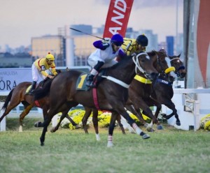 Lenha Nobre PE Off The Way