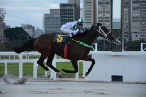 Pacchia Prova Especial Jacutinga