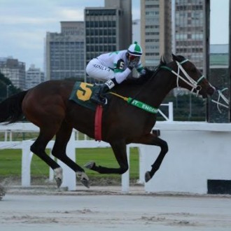 Pacchia criação Santarém vence a 6ª carreira de sua campanha na Prova Especial Jacutinga