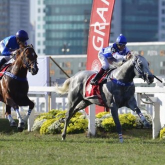 Perbene, filho de Tiger Heart de criação do Haras Santarém faz 2º no GP ABCPCC (G1)