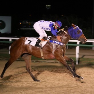 Regal Ares, filho de Pioneering ganha a Prova Especial Mossoró na Gávea