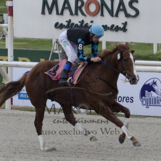 Filhos de Tiger Heart e Pioneering ganham em Maroñas e Cidade Jardim