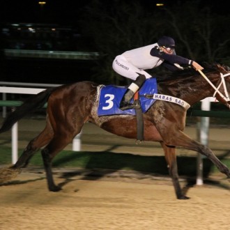 Sixteen Tons filho de Pioneering, obtém 5ª vitória clássica por 9 corpos