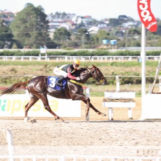 Filhos de Pioneering ganham Clássicos no Tarumã