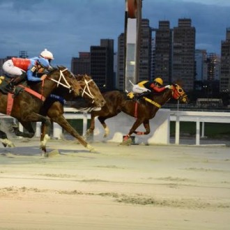 The Buteler, filho de Pioneering do Haras Belmont criado regime de pensionato no Haras Santarém venceu Grupo 2 na areia em CJ
