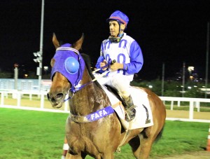 regalares com o jóckey