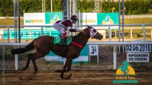 Namable Cl Lauro Schuck