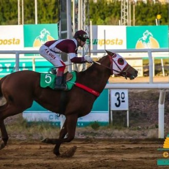 Namable (Tiger Heart), criação Santarém obtém 12ª vitória no Clássico Lauro Schuck – Cristal