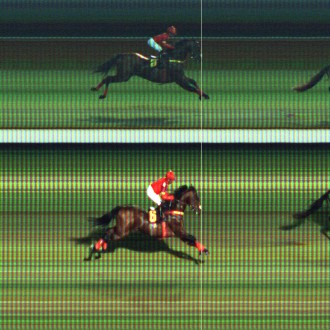 Ochentón (Amigoni) criação Santarém ganha a 3ª carreira em CJ