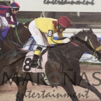 Filhos de Pioneering e Tiger Heart ganham em Maroñas e Gávea