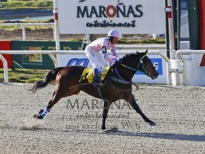 Querubim chegada 11.06