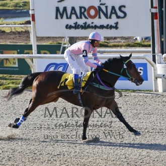 Querubim (Pioneering) de criação Hs Santarém estréia com vitória aos esbarros em Maroñas