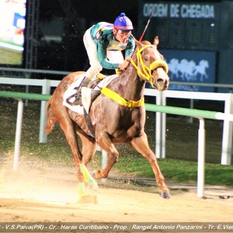 Filhos de Tiger Heart voltam a ganhar na noturna de segunda feira na Gávea