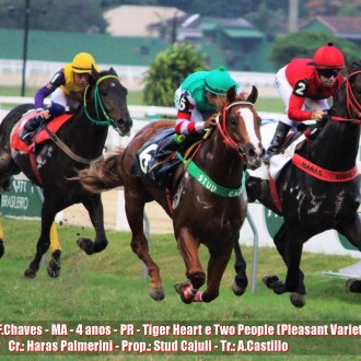 Grand Turk (Tiger Heart) ganha na Gávea