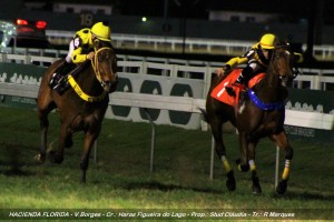 Hacienda Florida 23.07