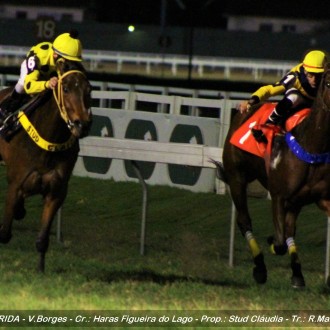 Vitórias de filhos de Tiger Heart na Gávea e Cristal