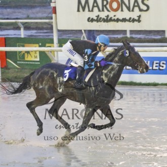Filhos de Pioneering ganham em Maroñas e Gávea