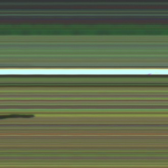 Quilunje criação Santarém ganha por 10 corpos em Cidade Jardim