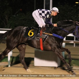 Doce Pimenta (Public Speaker) criada em regime de pensionato no Santarém para o Haras Campar ganha disparada na Gávea