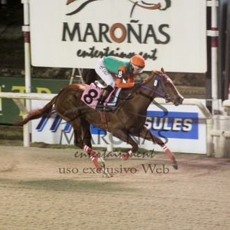 Glorious Flag (Tiger Heart) ganha a 5ª carreira no Uruguai