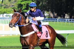 Questo Mi Paice 28.08 1