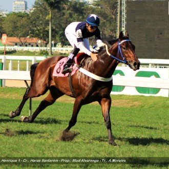 Questo Mi Piace (Tiger Heart) do Santarém ganha na Gávea e Parte Tinindo (Tiger Heart) fatura em CJ