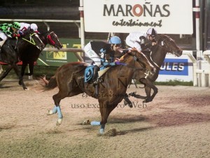 Regal Perses Clásico Ensayo 30.08