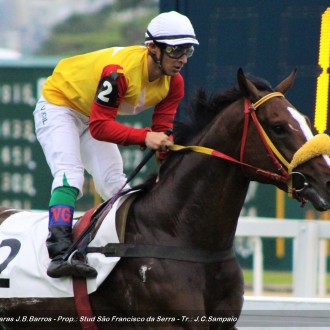 Ovúnque do Santarém fatura a 5ª carreira e Reitor (Impression) ganha a primeira