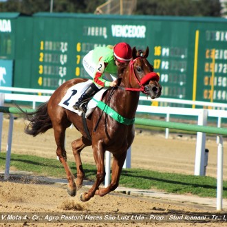 Filhos de Tiger Heart e Pioneering ganham na Gávea, Cidade Jardim e Cristal