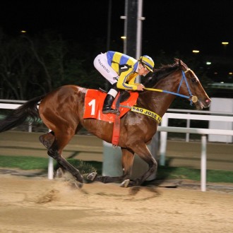 SIXTEEN TONS (Pioneering) fatura a 6ª vitória na Prova Especial Hamdam