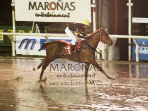 Ultraside 26.08 maroñas