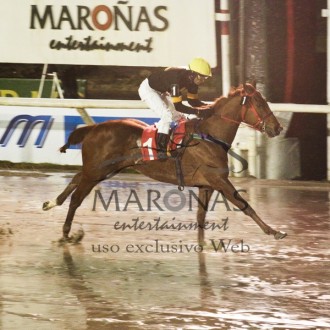 Filhos de Pioneering ganham em Maroñas e Cidade Jardim