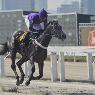 ANINHA, Filha de Impression ganha Listed em CJ nos 2000 areia