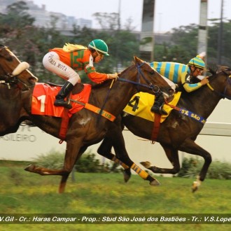Datspeaker criado no Santarém para o Haras Campar ganha a 4ª carreira na Gávea