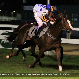 EROS THE LORD (Pioneering) ganha a 6ª carreira