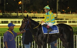 etzel-pe-heliaco-foto-vitoria