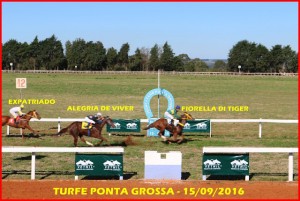 fiorella-di-tiger-gp-ciro-frare